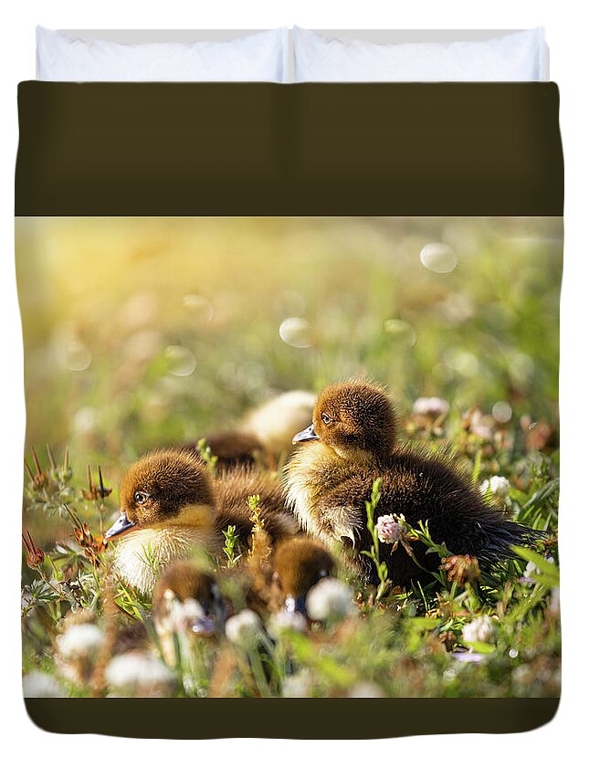 Babbies Duvet Cover featuring the photograph Snuggle Buddies by Jordan Hill