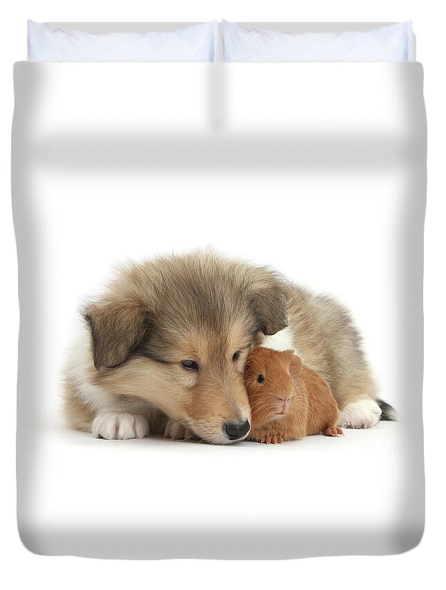 Rough Collie Duvet Cover featuring the photograph Snuggling with Guinea by Warren Photographic
