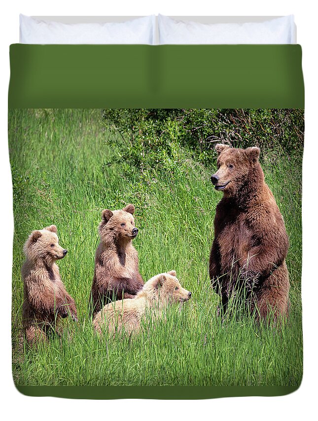 Alaska Duvet Cover featuring the photograph So kids Let's start our lesson by Alex Mironyuk