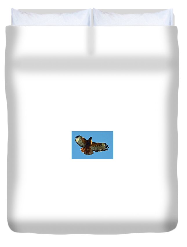 In Focus Duvet Cover featuring the digital art Soaring Hawk by Fred Loring