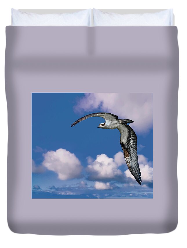 Backyard Duvet Cover featuring the photograph Soaring Osprey by Larry Marshall