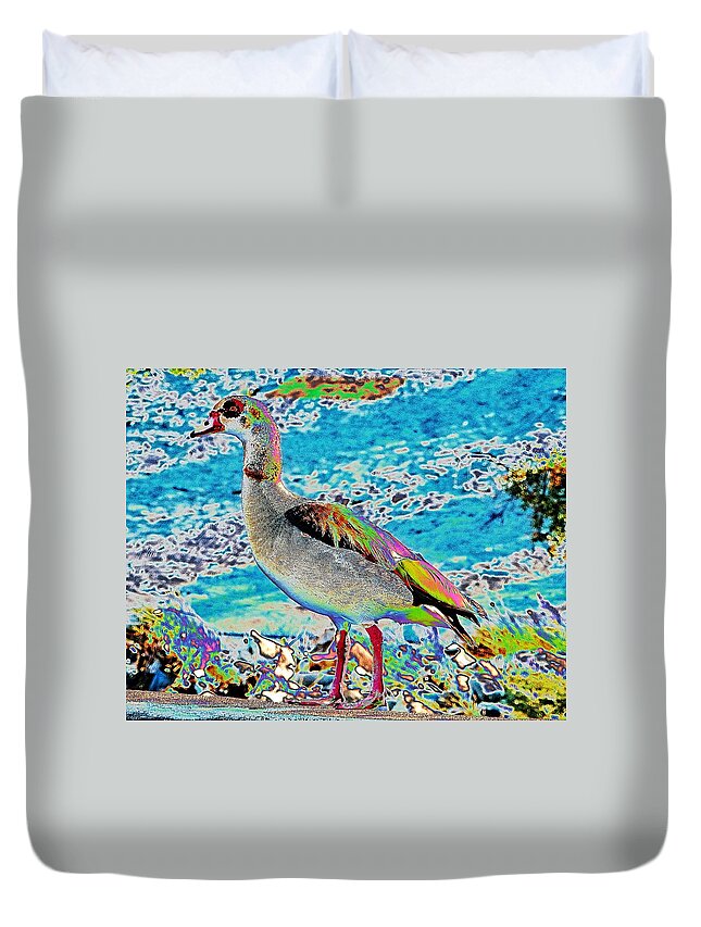 Bird Duvet Cover featuring the photograph Solar Egyptian Goose Above Water by Andrew Lawrence