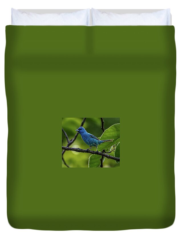 Avian Duvet Cover featuring the photograph Song of the Indigo Bunting by Brian Shoemaker