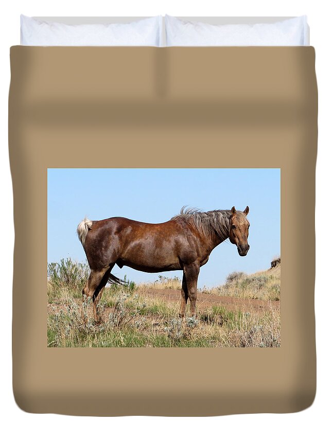 Horse Duvet Cover featuring the photograph Sooty Palomino by Katie Keenan