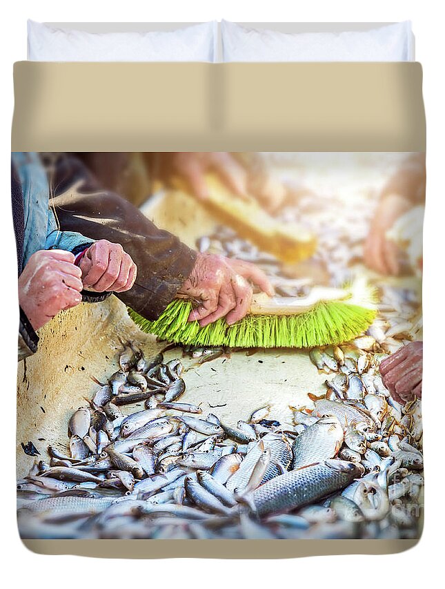 Sorting by hand fishes after catch of fish from pond Duvet Cover by Gregory  DUBUS - Pixels