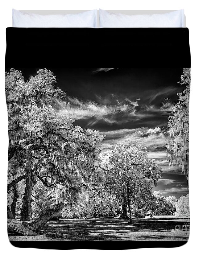Black & White Duvet Cover featuring the photograph Southern Charm by DBHayes by DB Hayes