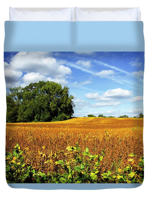 Color Duvet Cover featuring the photograph Soybean Harvest by Alan Hausenflock