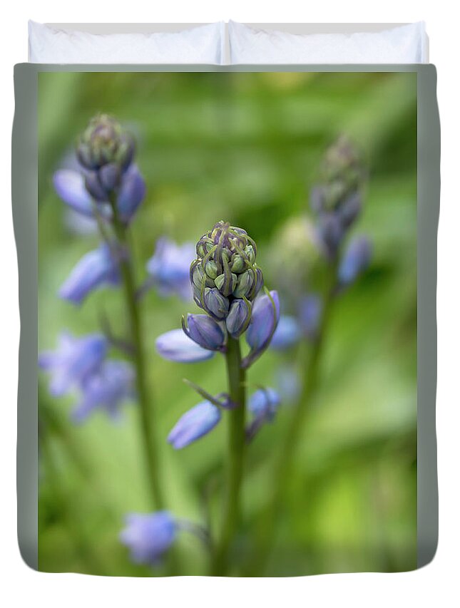Flower Duvet Cover featuring the photograph Spanish Bluebells 2 by Dawn Cavalieri