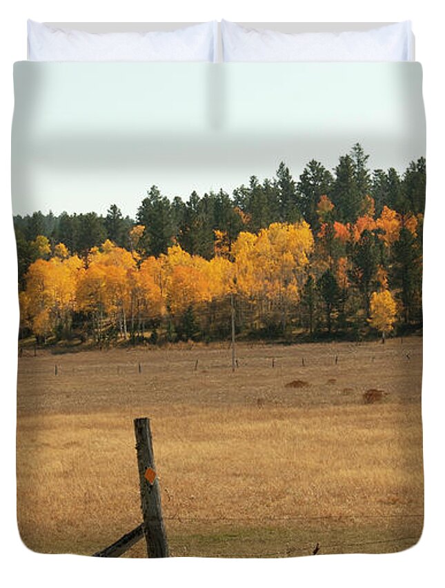 Fall Colors Duvet Cover featuring the photograph Spark of Golden Fall by Cathy Anderson