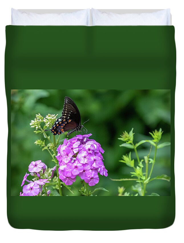 Lenoir Preserve Duvet Cover featuring the photograph Spicebush Swallowtail by Kevin Suttlehan