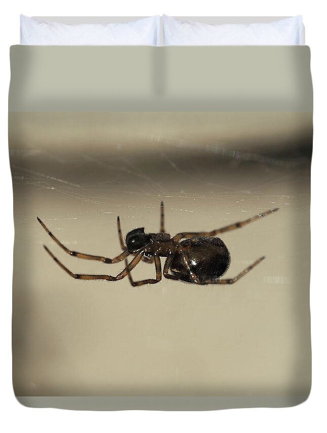 Spider Duvet Cover featuring the painting Spider under the web by Sv Bell
