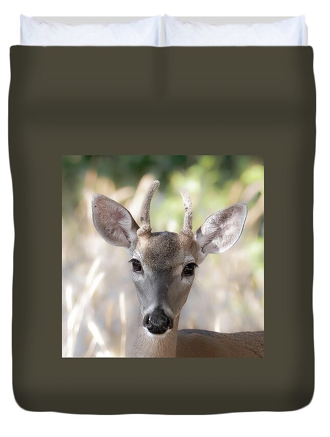Deer Duvet Cover featuring the photograph Spike Buck in Velvet by Cheri Freeman