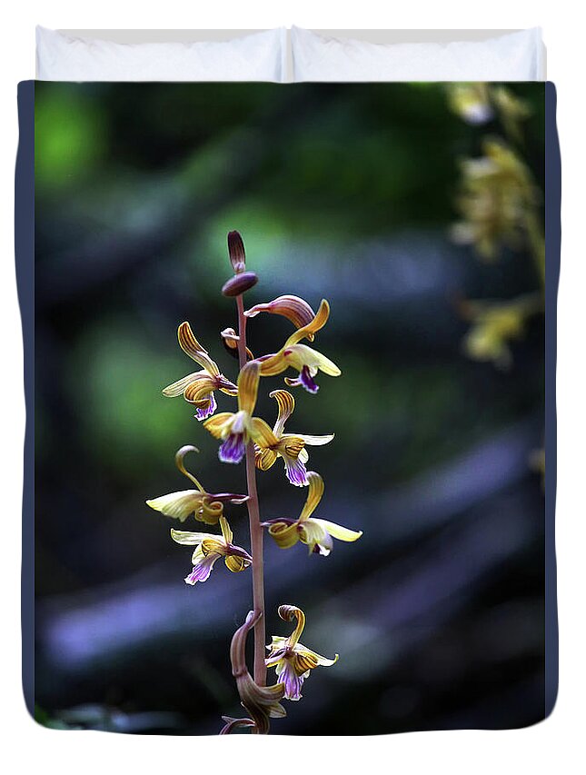  Duvet Cover featuring the photograph Spiked Crested Coralroot by William Rainey