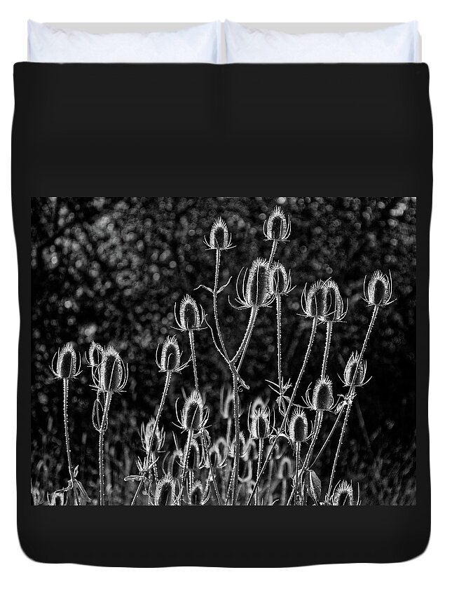 Spiny Alien Invaders Duvet Cover featuring the photograph Spiny Alien Invaders -- Dry Teasel Flowers at E.E. Wilson Game Management Area, Oregon by Darin Volpe