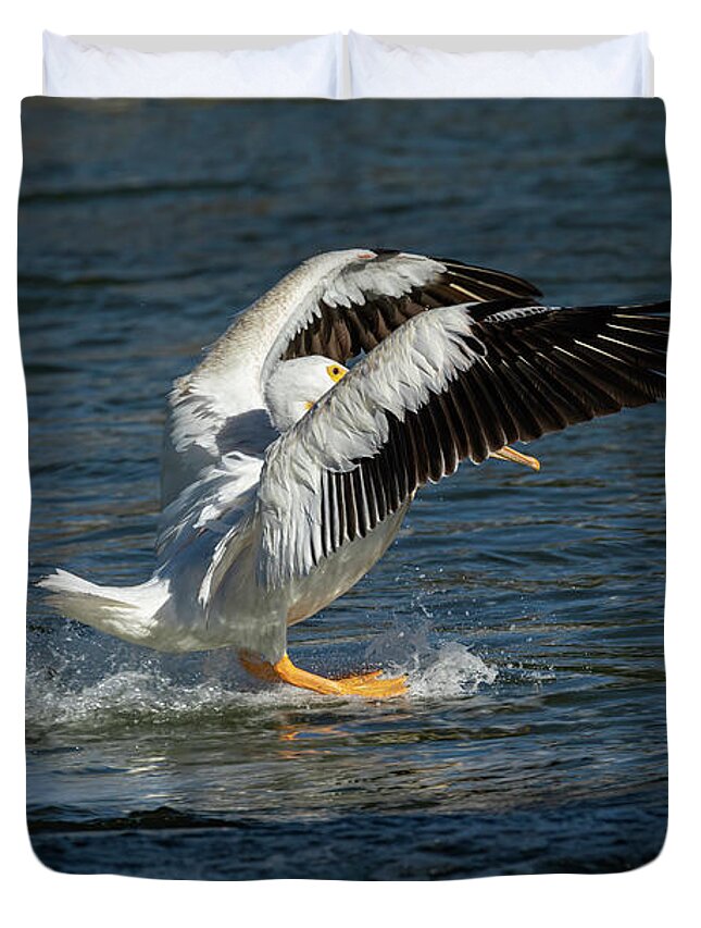 American White Pelican Duvet Cover featuring the photograph Splash Down 2016 by Thomas Young