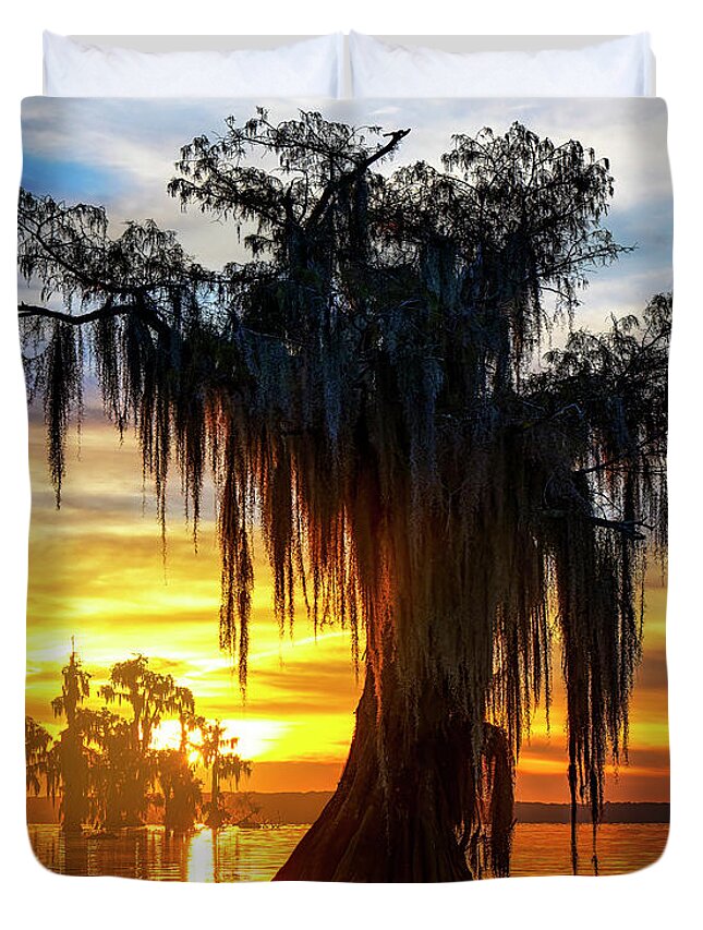 Atchafalaya Basin Duvet Cover featuring the photograph Splendor by Andy Crawford