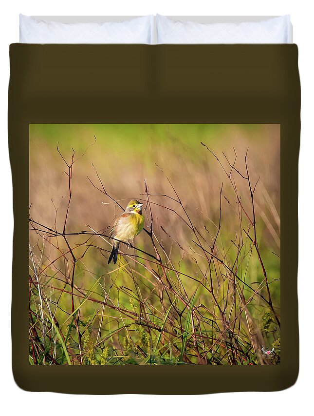Dickcissel Duvet Cover featuring the photograph Spring Arrival by Pam Rendall