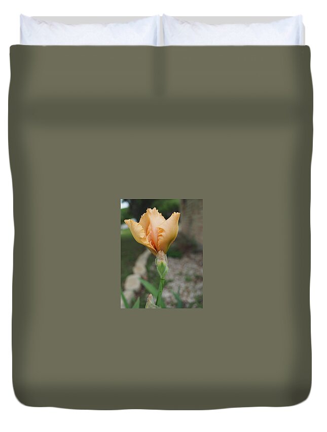 Orange Duvet Cover featuring the photograph Spring Bloom 11 by C Winslow Shafer
