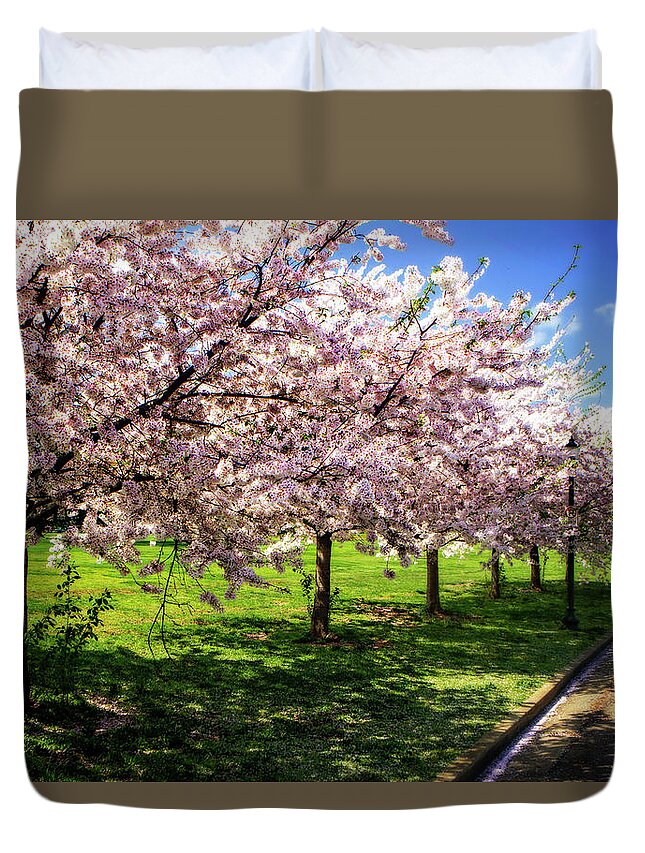 Color Duvet Cover featuring the photograph Spring Cherry Trees by Alan Hausenflock