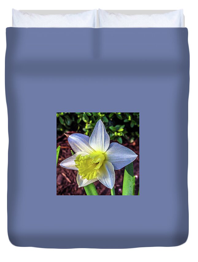 Daffodils Duvet Cover featuring the photograph Spring Daffodil Flowers by Louis Dallara