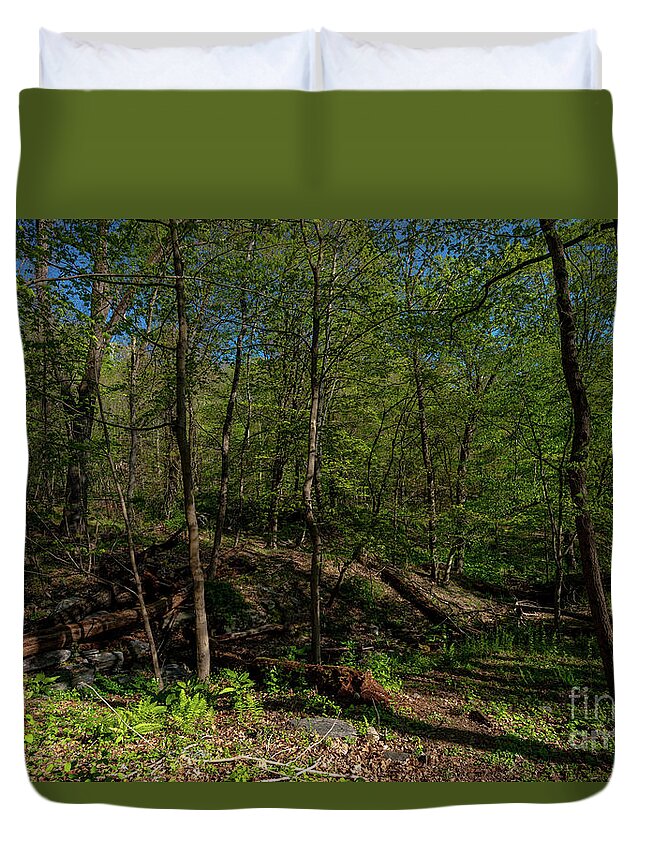 2020 Duvet Cover featuring the photograph Spring in Hudson Valey by Stef Ko