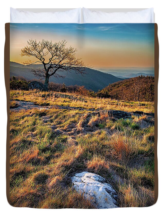 North Carolina Duvet Cover featuring the photograph Spring Long Grasses at Sunrise by Dan Carmichael