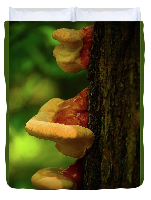 Spring Mushrooms Duvet Cover featuring the photograph Spring Mushrooms by Raymond Salani III