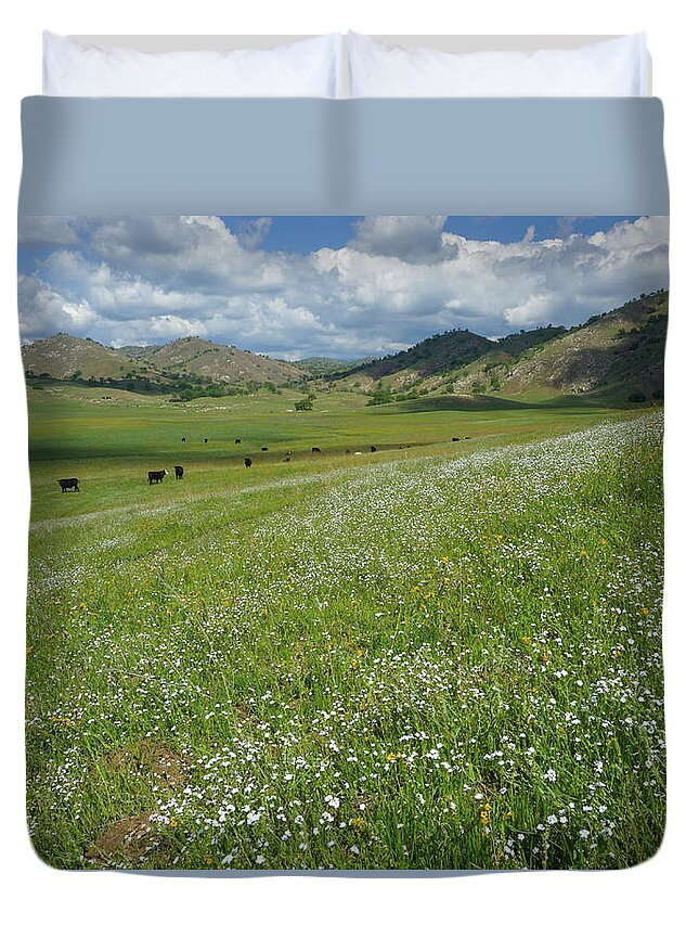 Wildflowers Duvet Cover featuring the photograph Spring On The Ranch by Brett Harvey