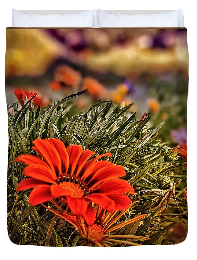 Flower Duvet Cover featuring the photograph Spring Orange Flowers by Dave Zumsteg