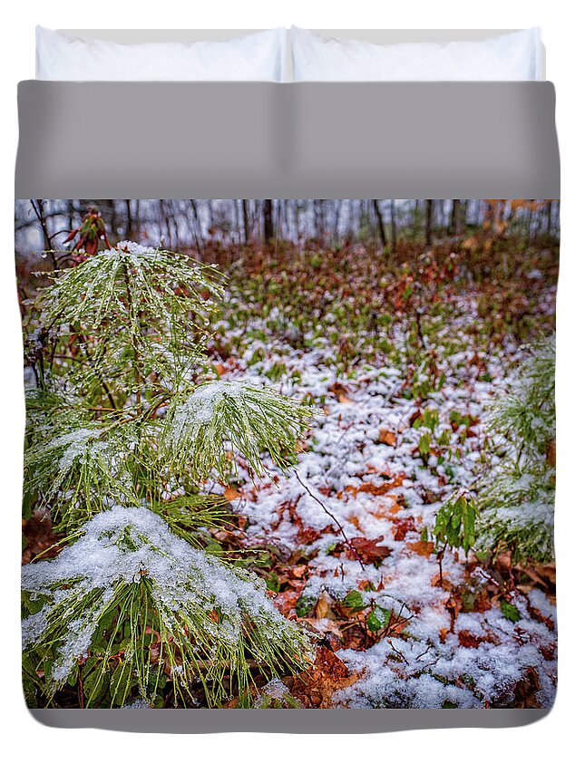New Hampshire Duvet Cover featuring the photograph Spring Snow by Jeff Sinon