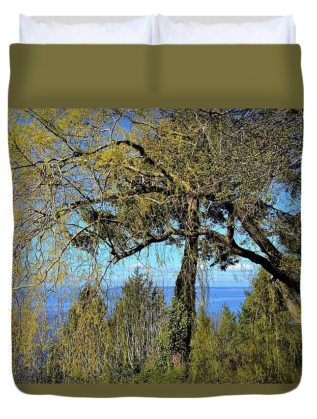 Trees Duvet Cover featuring the photograph Spring Trees Sharing the View of the Pacific by James Cousineau