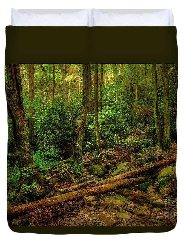 Forest; Trees; Woods; Cherokee National Forest; Tennessee; Northeast Tennessee; Trail; Nature; Shelia Hunt; Shelia Hunt Photography; Nature Photography; Outdoor; Outdoors; Hike; Hiking; Mountain; Mountains; Rock; Rocks; Spring; Springtime; Us; Usa Duvet Cover featuring the photograph Springtime in the Cherokee National Forest by Shelia Hunt