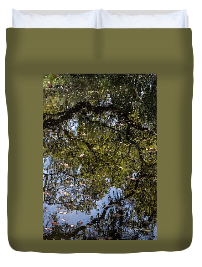 Photograph Duvet Cover featuring the photograph Springtime Reflections by Suzanne Gaff