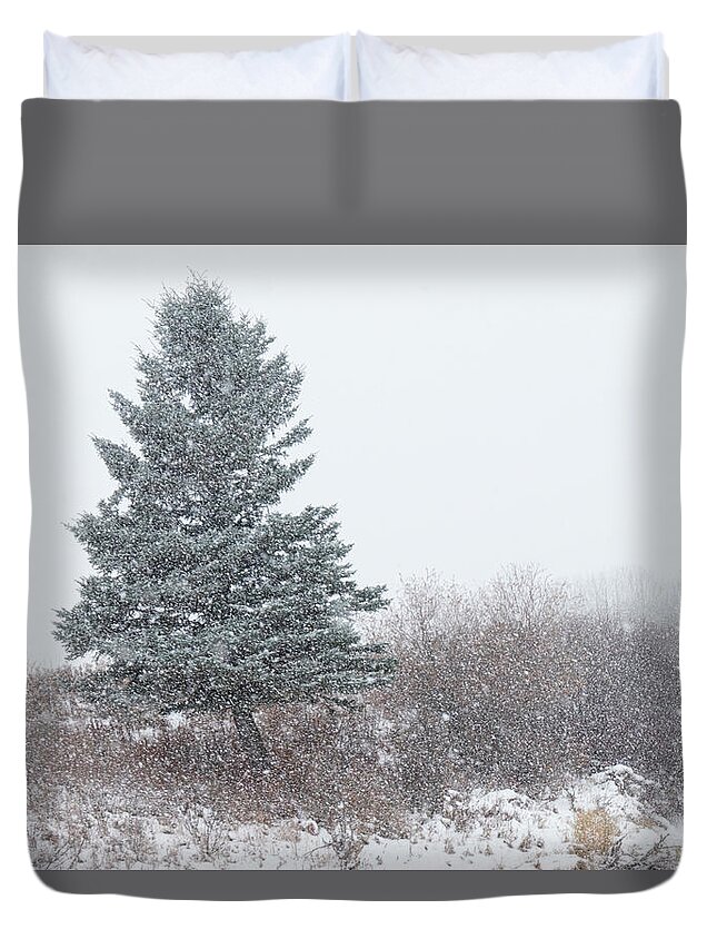 Snow Duvet Cover featuring the photograph Spruce tree on a snowy day by Karen Rispin