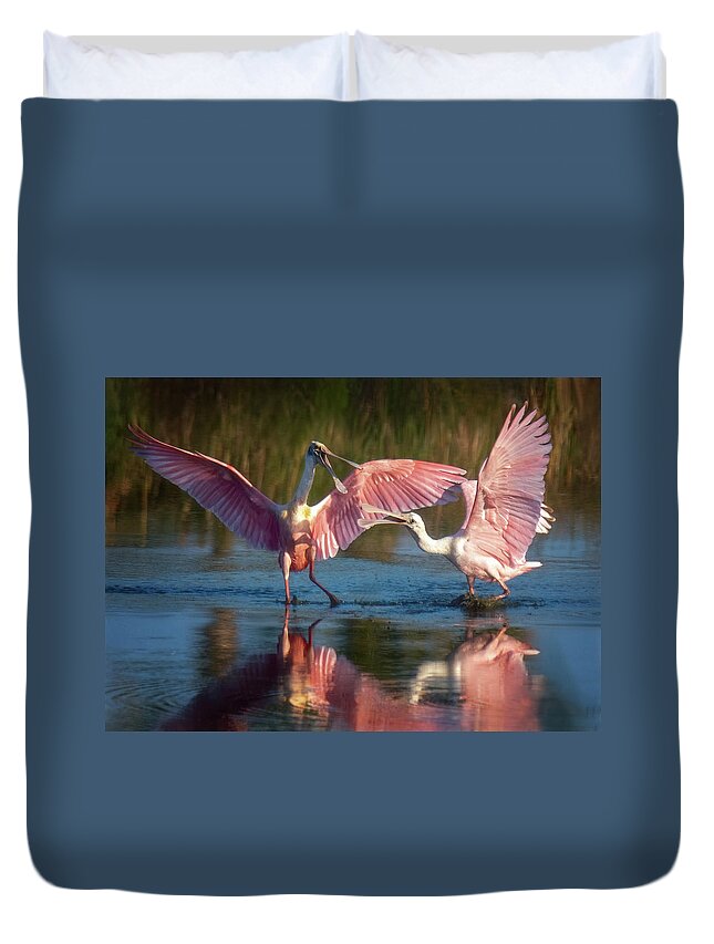 Roseate Spoonbills Duvet Cover featuring the photograph Squabble in Pink by Jaki Miller