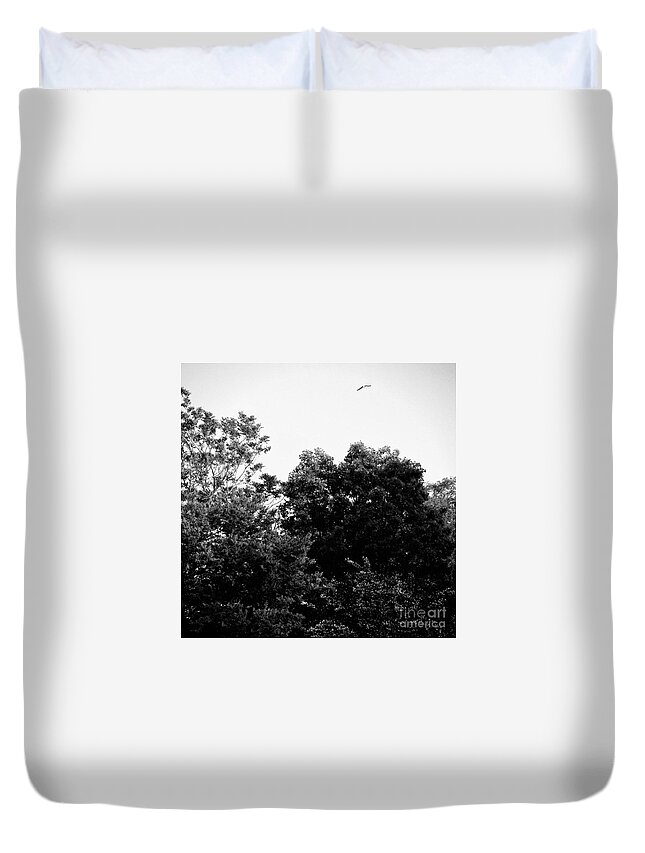  Duvet Cover featuring the photograph Square - Free Bird Golden Hour Sunset - Black and White by Frank J Casella