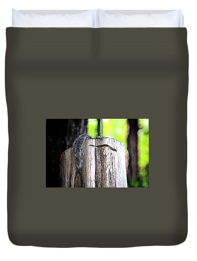 Charlotte-park Duvet Cover featuring the digital art Squirrel at the Lake by SnapHappy Photos