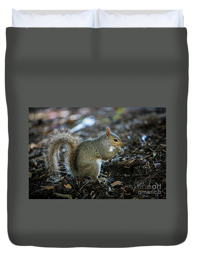Squirrel Duvet Cover featuring the photograph Squirrel by Mina Isaac