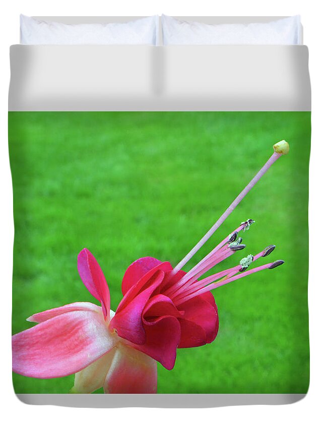 Fuchsia Duvet Cover featuring the photograph Stamen of Fuchsia by Terence Davis