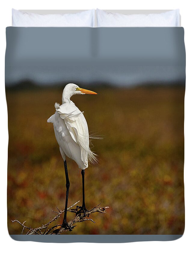 Bird Duvet Cover featuring the photograph Standing in the Wind by Les Greenwood