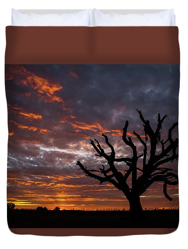 Sunrise Duvet Cover featuring the photograph Standing Still by Susan Pantuso