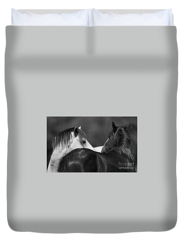 Stallions Duvet Cover featuring the photograph Stare Down by Shannon Hastings