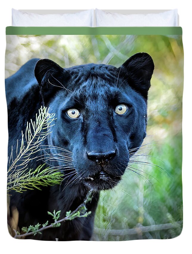 Wildlife Duvet Cover featuring the photograph Stare Down by Tom Watkins PVminer pixs