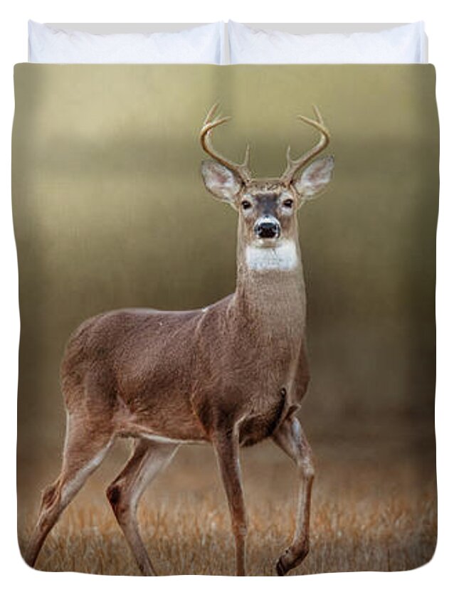 Deer Duvet Cover featuring the photograph Stepping Out by Jai Johnson