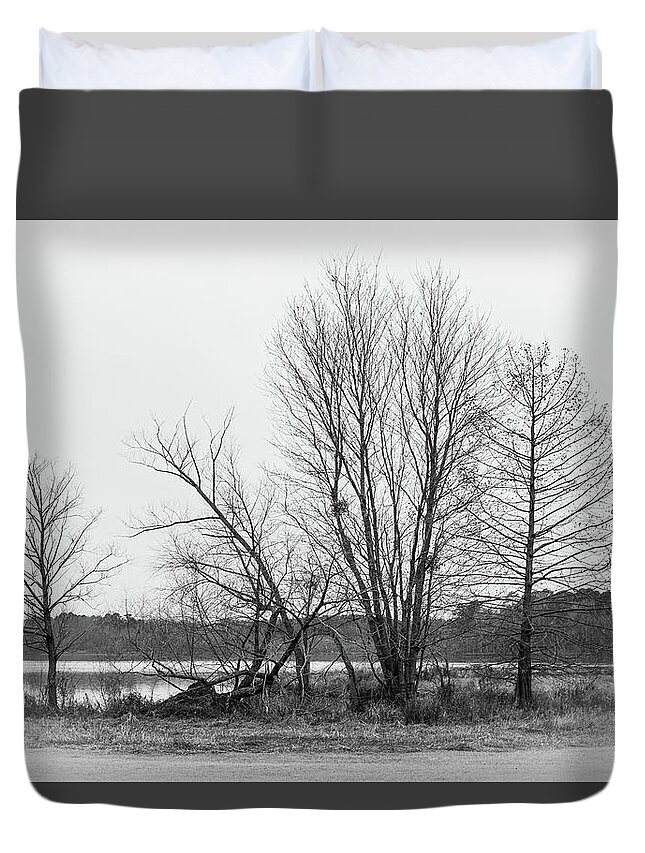 Leaf Duvet Cover featuring the photograph Still Trees 2 by Rick Nelson