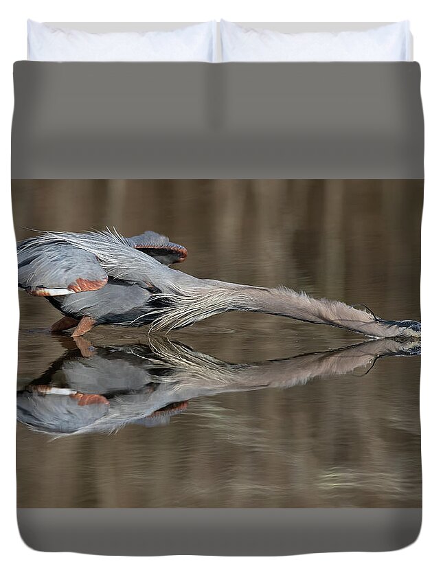 Bird Duvet Cover featuring the photograph Stretch by Art Cole