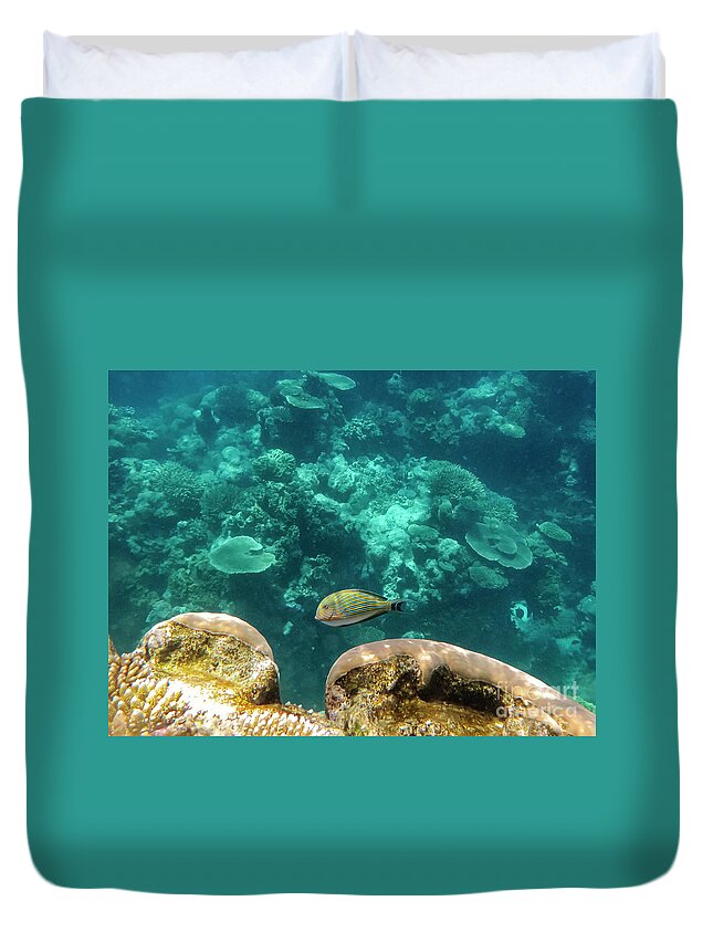 Great Barrier Reef Duvet Cover featuring the photograph Striped Surgeonfish Two by Bob Phillips