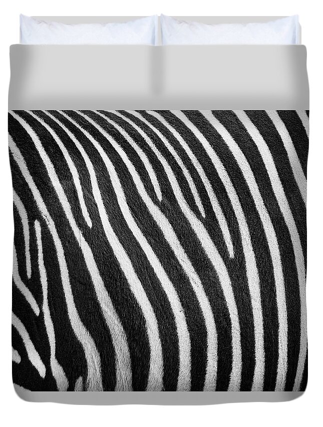 Zoo Boise Duvet Cover featuring the photograph Stripes by Melissa Southern