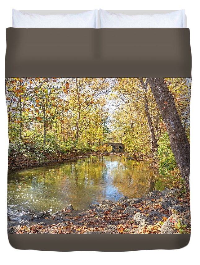 Autumn Duvet Cover featuring the photograph Struck Gold by Cathy Donohoue