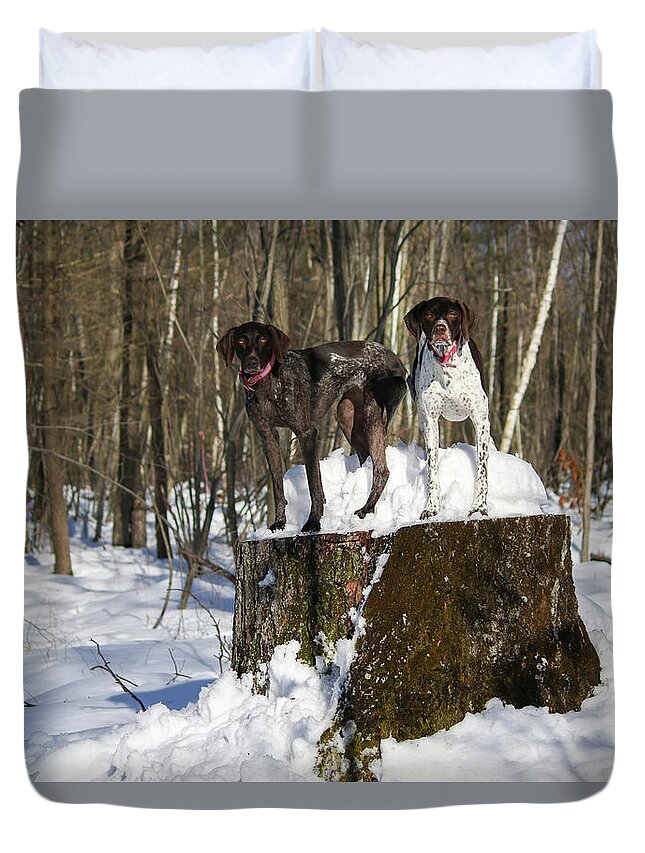 German Shorthair Duvet Cover featuring the photograph Stumped Dogs by Brook Burling